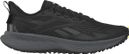 Chaussures de Trail Reebok Floatride Energy 5 Adventure Noir/Gris