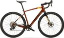 Wilier Triestina Jena Gravel Bike Shimano GRX 12S 700 mm Patterned Bronze 2024