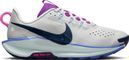 Nike Pegasus Trail 5 Women's Trail Running Shoes, Gray/Blue