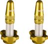 Ice Kit of Aluminium Plugs (x2) and Nuts (x2) Airflow Gold