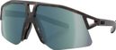 Lunettes Koo Hype Havana Matt 