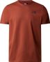 The North Face Redbox Celebration Short Sleeve T-Shirt Brown