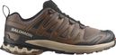 Scarpe da trail Salomon XA Pro 3D V9 marroni da uomo