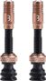 BBB CoreCap AL Tubeless Valve Set Bronze