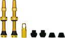 Valvole Tubeless Muc-Off V2 44 mm Oro