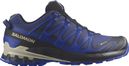 Salomon XA Pro 3D V9 Gore-Tex Trail Shoes Blue