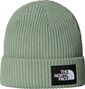 Unisex The North Face Salty Lined Beanie Grün