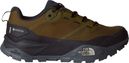 The North Face Offtrail Gore-Tex Hiking Boots for Men (Green/Brown)