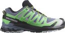 Salomon XA Pro 3D V9 Trailschoenen Grijs/Groen