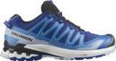 Salomon XA Pro 3D V9 Trailrunning-SchuheBlau/Weiß
