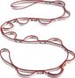 Black Diamond 12 mm Dynex Daisy Chain 115 cm Red