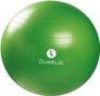 Gymball Sveltus - 65cm