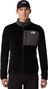 Chaqueta polar The North Face Alpedge para hombre Gris/Negro