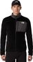 Veste Polaire The North Face Alpedge Gris/Noir Homme