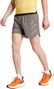 Short adidas Terrex Agravic 5in Marron Homme