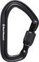 Black Diamond Hotforge Screwgate Carabiner