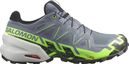 Chaussures de Trail Salomon Speedcross 6 Gore-Tex Gris/Vert