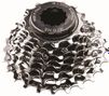 Primato Campagnolo 9V