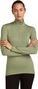 Women's 1/2 zip Icebreaker Merino 260 Tech Green Baselayer