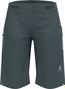 Dames Odlo X-Alp Explorer MTB Overshort Grijs/Blauw