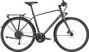 Trek FX 2 Disc EQ City Bike Shimano Acera/Altus 9S 700mm Lithium Grey 2023