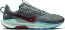 Chaussures Trail Nike Pegasus Trail 5 Vert Homme