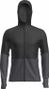 Icebreaker Merino 200 Realfleece Descender Fleece Black