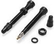 Pair of Miche Black Tubeless Valves