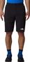 Men's shorts The North Face Speedlight Black