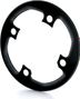 SRAM Kettenblatt Bash X01 BCD 94 mm Carbon