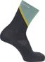 Salomon Pulse Crew Unisex Socks Green/Gray