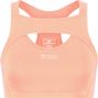 Shock Absorber Crop Top Evo Rose bra