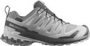 Chaussures Trail Salomon XA Pro 3D V9 GTX Gris Femme