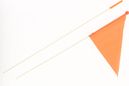 Fanion pour remorque enfant compatible toutes remorques