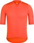 New product - 14-03-2025 15:13:05