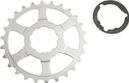 PIGNON MICHE ADAPT. SHIMANO 26D. 11V. DERNIERE POSITION