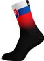 Paire de Chaussettes - Slovakia Black Flag Socks - Slovaquie