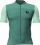 LeBram Ventoux Uni Short Sleeves Jersey Green