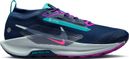 Chaussures Trail Nike Pegasus Trail 5 GTX Bleu/Rose Homme
