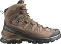 Wanderschuhe Salomon Quest 5 GTX Braun Herren