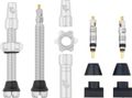 Kit de Valves Tubeless Wolf Tooth Presta Argent