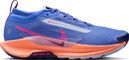 Nike Pegasus Trail 5 GTX Trail Running Shoes, Blue/Pink, Women's