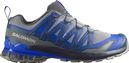 Salomon XA Pro 3D V9 Trail-Schuhe, grau/blau, für Herren