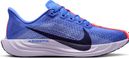 Scarpe da corsa Nike Pegasus Plus blu/viola da donna