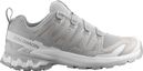 Chaussures Trail Salomon XA Pro 3D V9 Gris Femme