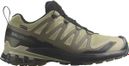 Chaussures Trail Salomon XA Pro 3D v9 GTX Kaki Homme