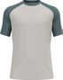 Odlo Ascent Performance Wool 125 Grey Technical T-Shirt