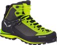 Salewa Crow GTX Mountaineering Shoes Green