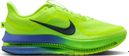 Nike Pegasus Premium Running Shoes for Men in Green/Blue