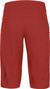 Sweet Protection Hunter Slashed Shorts Rood